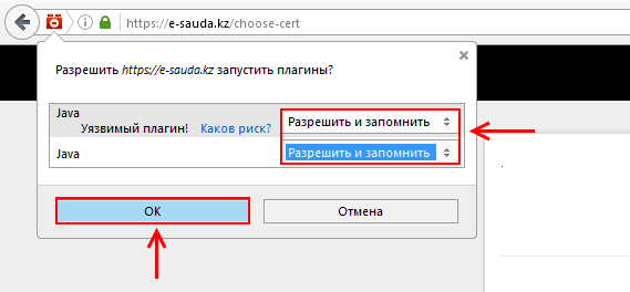 Разрешить Java-плагин